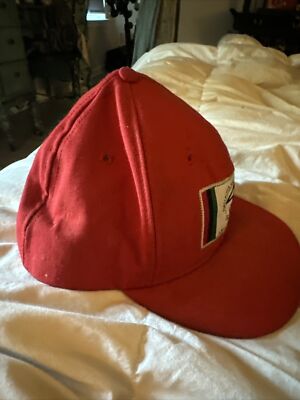 Spike Lee 40 Acres And A Mule Filmworks Snapback Hat Cap