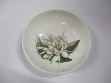 Santa Anita Ware Night Blooming Cereus Flowers Of Hawaii Pottery 5" Bowl