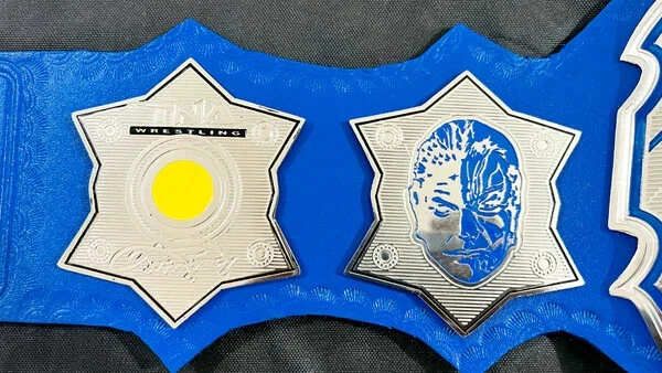 Réplica de cinturón de título de campeonato de lucha de peso pesado Hardy TNA 2 MM Foto 4 de 4