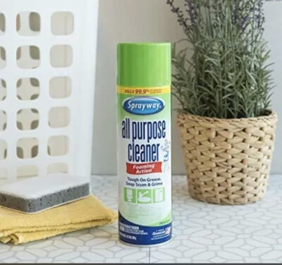 Sprayway All-Purpose Disinfectant Cleaner 19 oz. 3 Pack