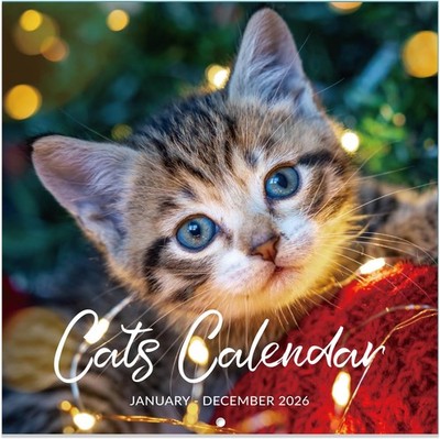 2026 Wall Calendar with Cats | eBay