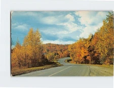Postcard Fall Scene Molly Stark Trail Vermont USA