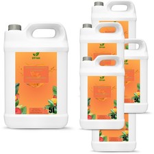 30 Liter Scheibenreiniger mit Sommerduft Mango 6x 5L Scheibenwischwasser