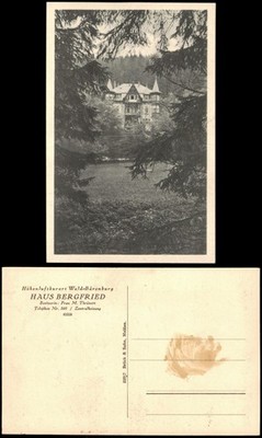 Ansichtskarte Waldbärenburg-Altenberg (Erzgebirge) Haus Bergfried 1927