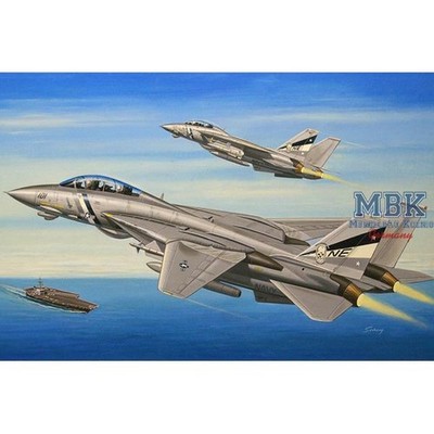 HOBBY BOSS HB80278 F-14D Super Tomcat
