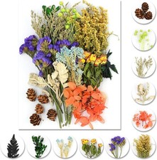 DIY Trockenblumen Set f&uuml;r Kunst & Basteln - Naturgetrocknete Blumen