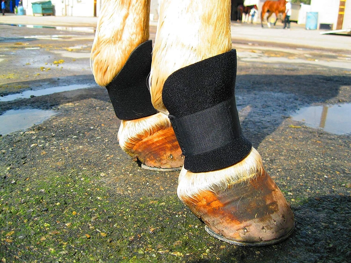 Horse bed sore boots clearance