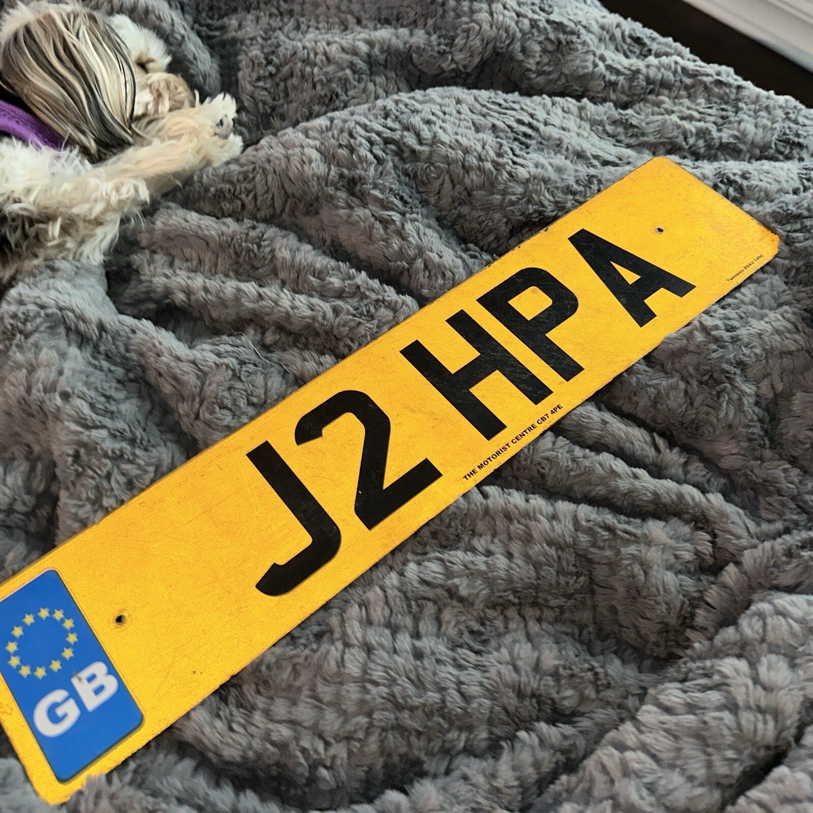 UK BRITISH License Plate GB band Cardiff Tenants 5 Digit PreBrexit eBay