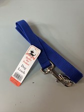 blue Nylon Dog Leash 4' lead