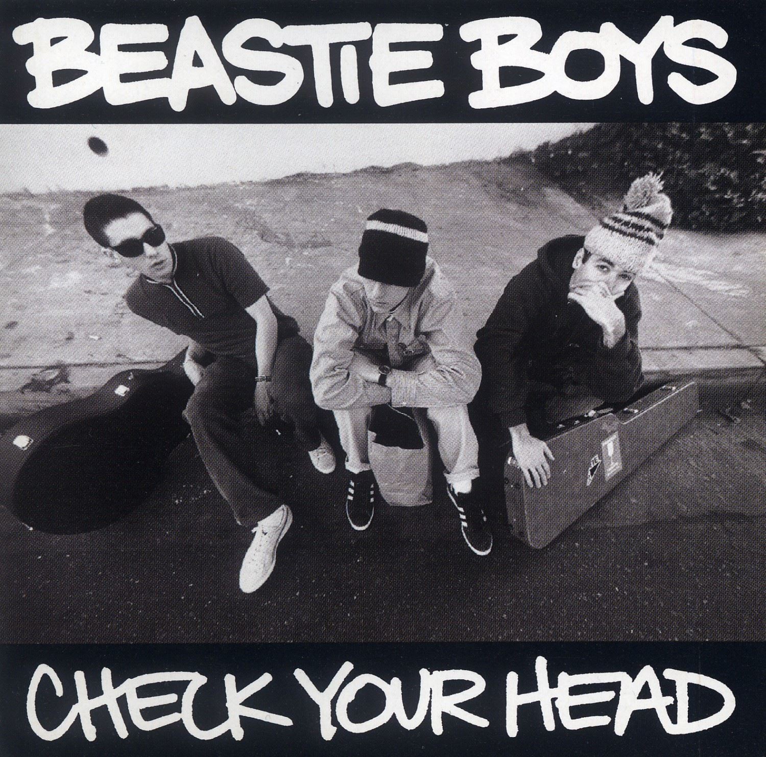 Check Your Head by Beastie Boys (Vinyl 2009) - Image 9