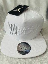 Air Jordan Nike Pro Jumpman XIV Lucky Pure Platinum 13 14 843073 Snapback Hat