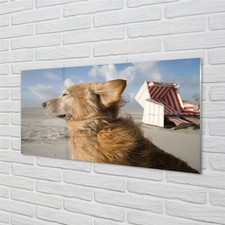 Tulup Glasbilder 100x50 Wandkunst Brown Hundestrand