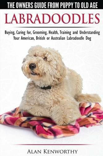 Labradoodles - The Owners Guide from Puppy to Old Age for Your American, Britis