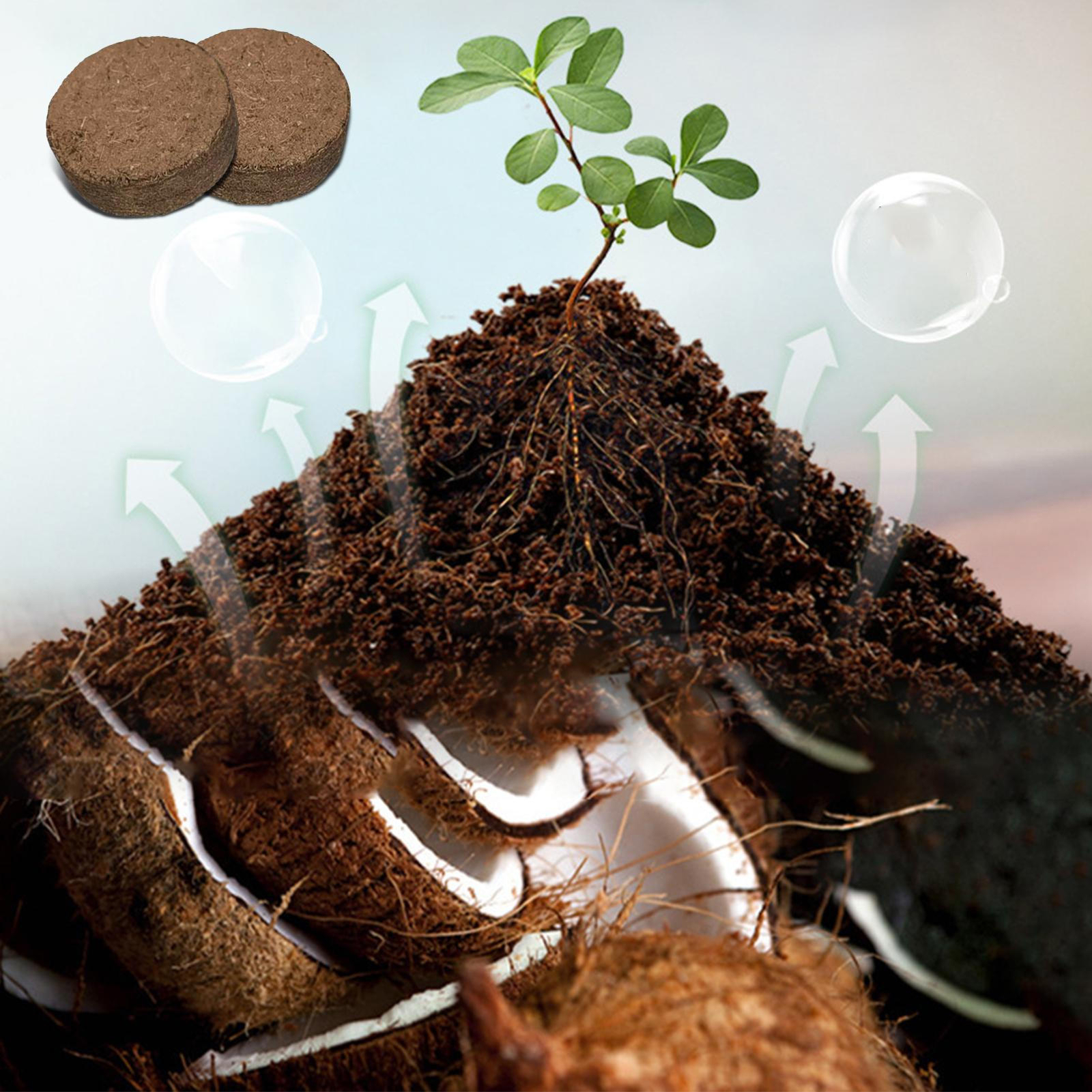 Dischetti Di Cocco Per Semina - 125 Pezzi, Terriccio Senza Torba Per Piante, Orto E Piante Grasse - Foto 7