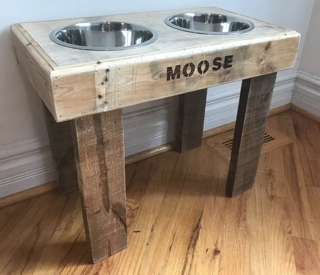 best dog feeding station