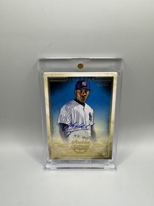 Chapman Auto | eBay