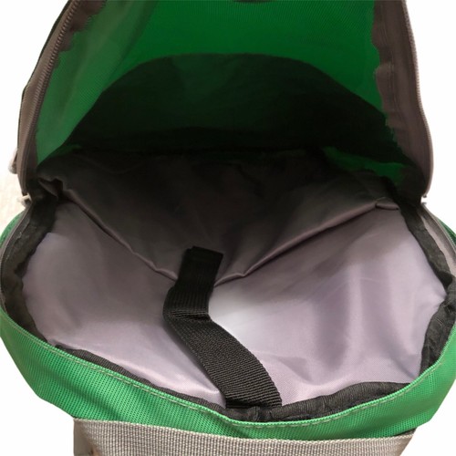 Zaino Xbox One 2015 verde ANFEST FAN FEST zaino borsa Gamescom raro - Foto 5 di 6