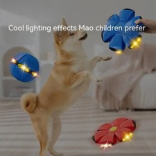 Flying Saucer Ball Dog Toy