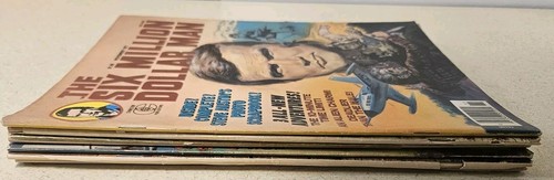 6 riviste uomo da sei milioni di dollari 1976-1977 Charlton Pub. Fumetto Lee Majors - Foto 9 di 9