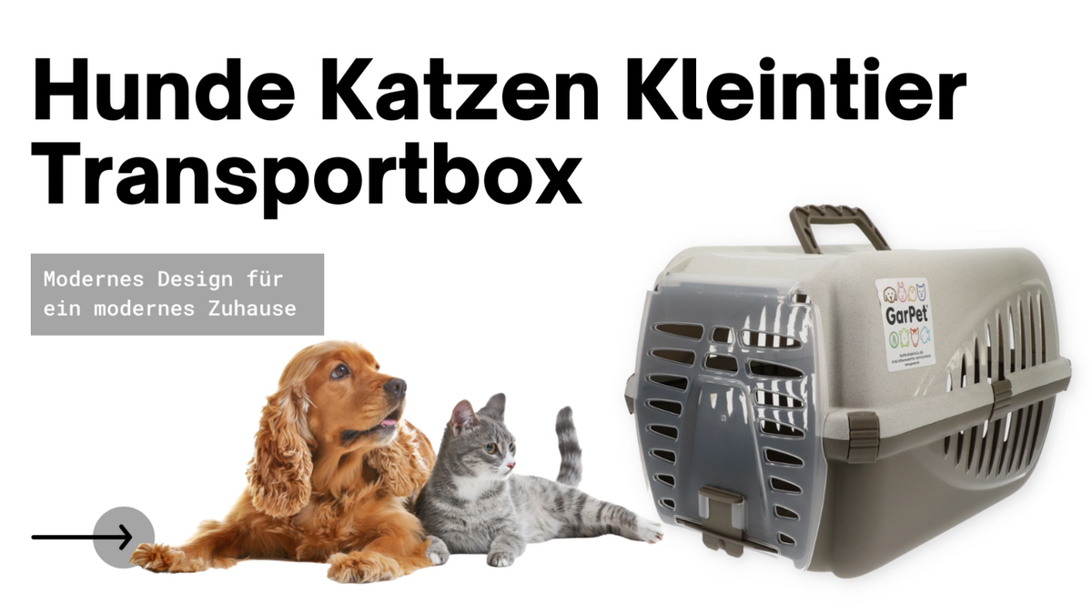 Transportbox Für Katzen & Kleintiere - Oben öffnend Mit Belüftung