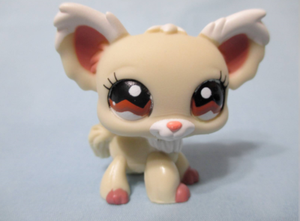 lps chihuahua