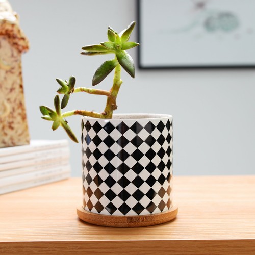 4 Pack Succulent Plant Pots Ceramic Flower Pots Geometric Planter Bamboo Saucers - Picture 4 of 9