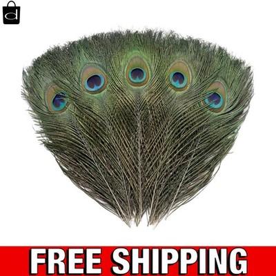 Natural Peacock Feathers (120 PCS, 10-12 Inches) for Creative Weddings & Crafts