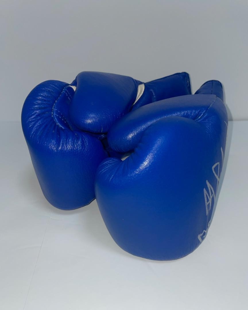 Winning Boxing Gloves 8 Oz World Champion | eBay