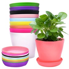 10 pièces Pots Plastique