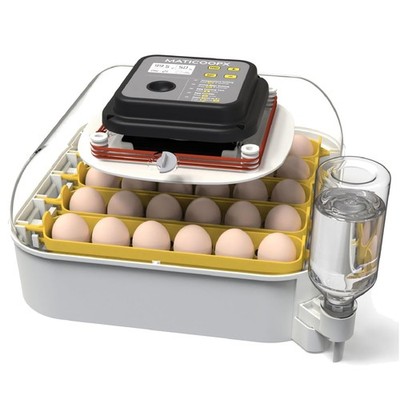 Egg Incubator 30 Eggs, Automatic Turner, Humidity Display
