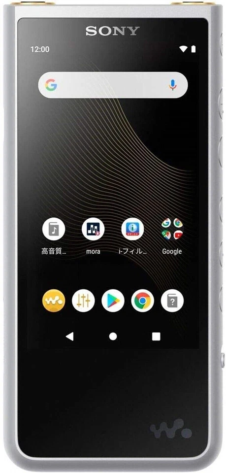 Reproductor de audio portátil Sony NW-ZX 507 SM Walkman ZX 500 Series 64 GB... - Imagen 2 de 2