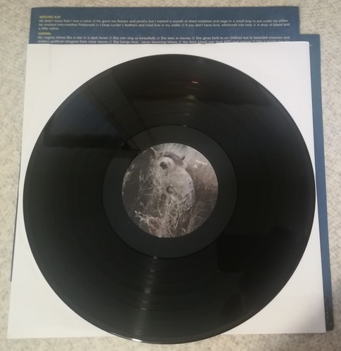 Кальк - Олень на вершине холма LP, M/G+, screamo hardcore punk alternative post - Foto 2 di 5