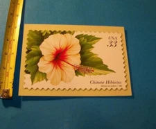 Chinese Hibiscus Flower Jumbo Postcard Vintage 1999 Stamp Art U.S.P.S.