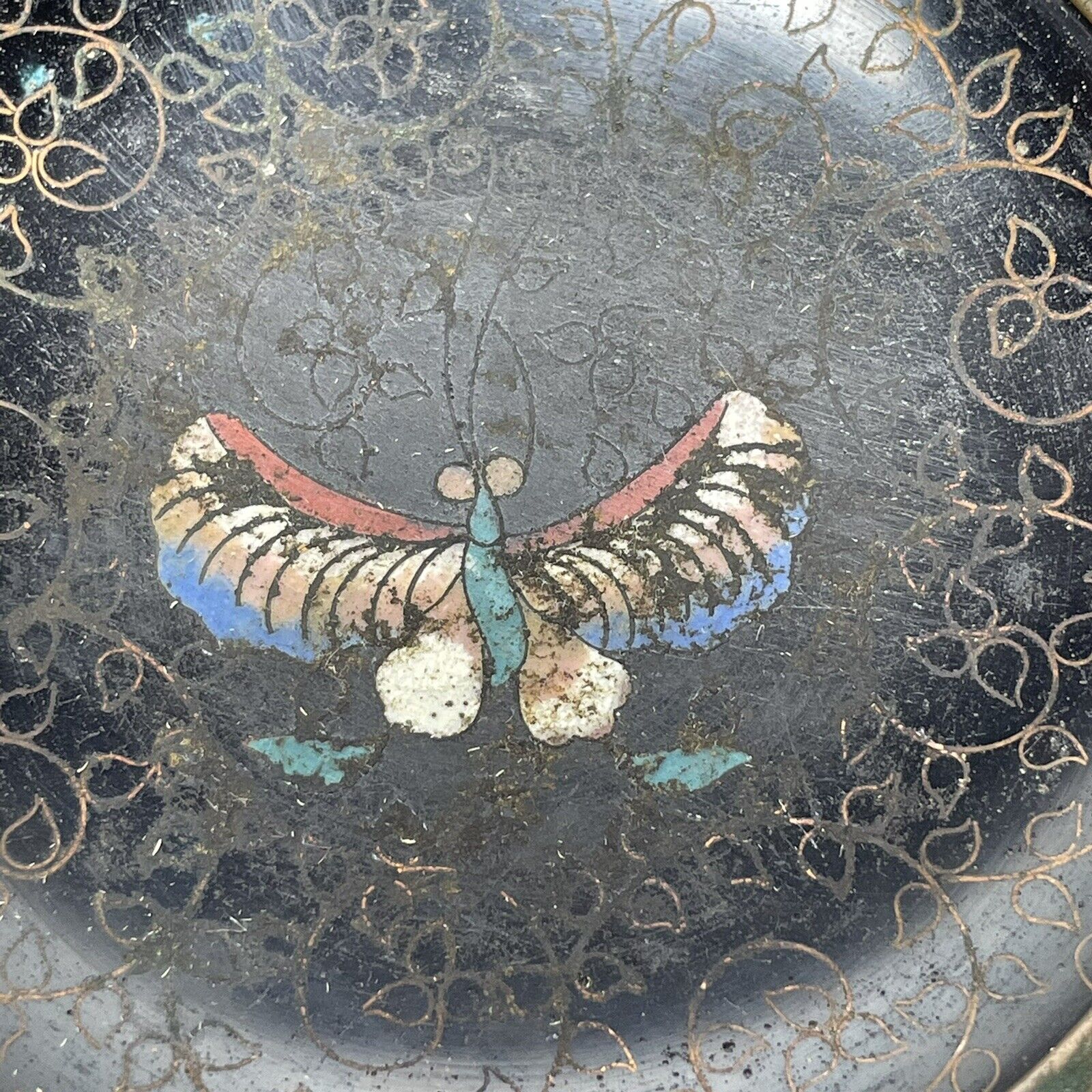 Picture 3 of 12