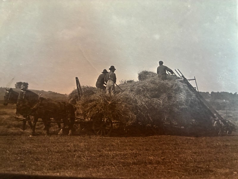 Original John Deere File for Hay Loader, 5 Images of Field Scenes