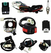Complete Wiring Harness Kit Compatible with Tao tao Coolster 110cc 125cc...