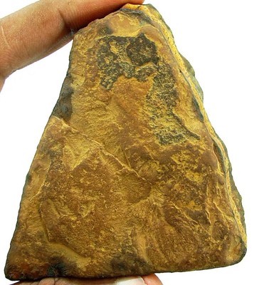Rough Tiger Eye Gemstone Specimen 719g