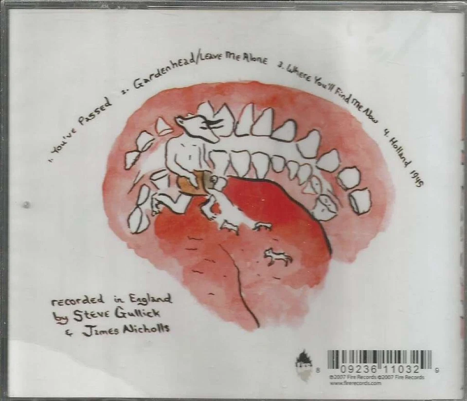 Swollen & Small: The Songs of Neutral Milk Hotel, The Viking Moses, новый, audioC - Изображение 2 из 2