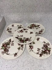 5 VTG Johnson Brothers Harvest Time DINNER PLATE SET 10” Fruit Pattern