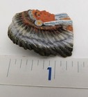 Bild 7 von 8