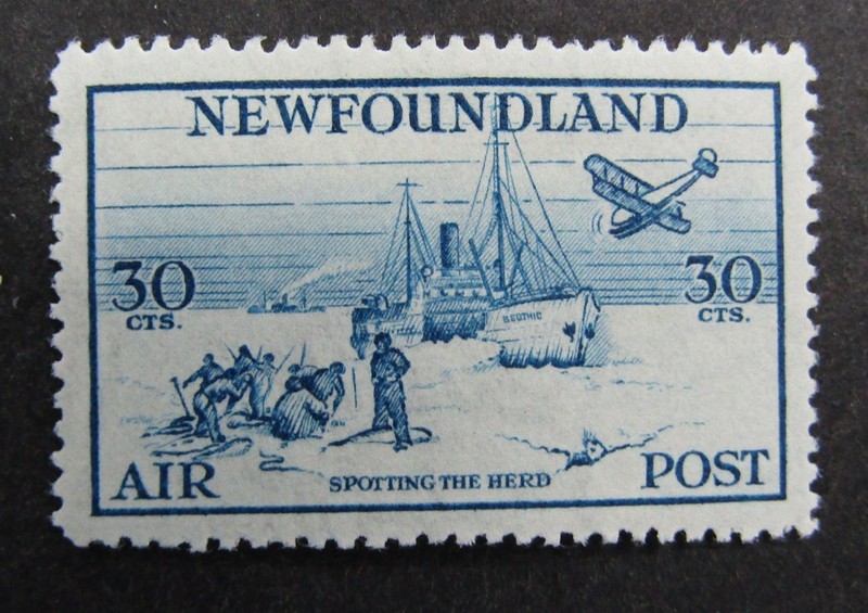 nystamps Canada NewFoundland Stamp # C15 Mint OG H VF      U19x656