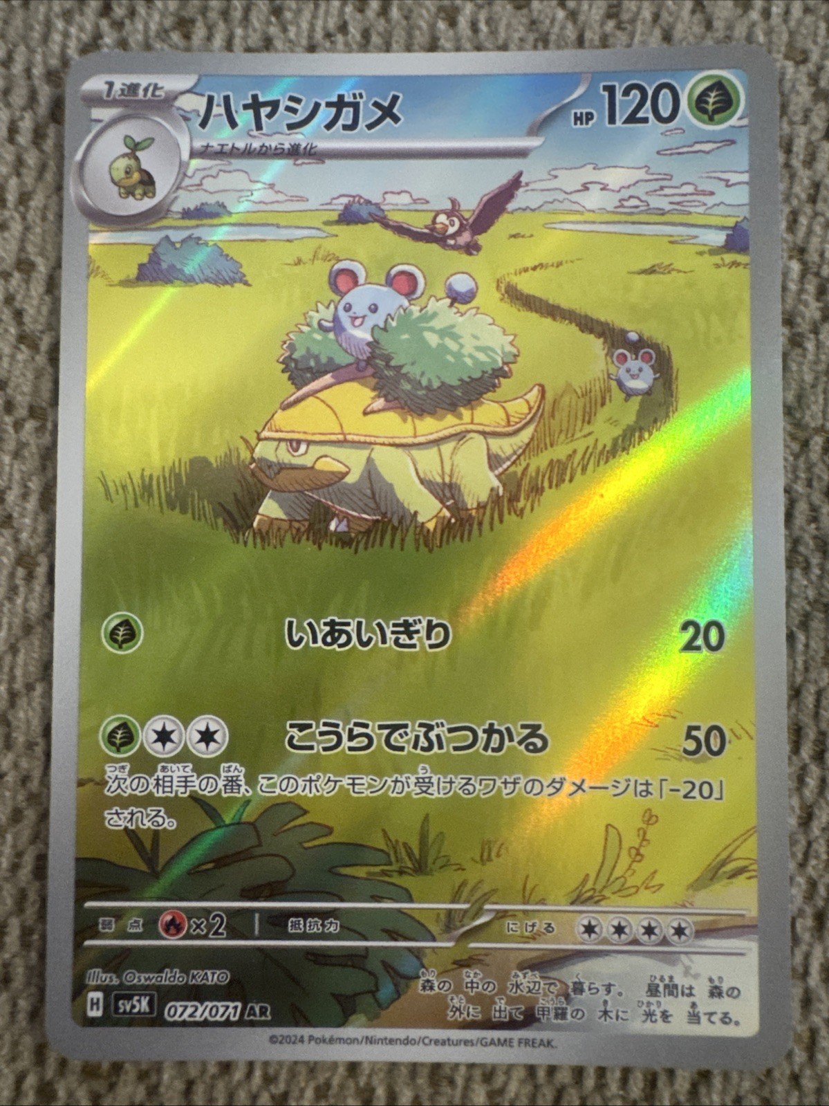 2024 Near Mint Pokemon Grotle 072/071 AR Wild Force SV5K Japanese