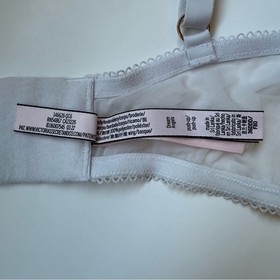 Victoria's Secret Dream Angels Push-Up Bra 36DDD Strawberry Cherry Embroidered