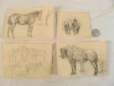 4 Antique 1902 Pencil Drawings of Horses Unsigned