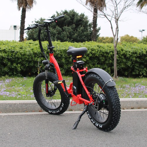 1000w/48v Two Seater Fat Tire Folding Electric Bicycle Ebike Scooter NEW - 第 2/9 張圖片