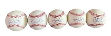 Chicago white Sox Fan Favorite Baseball Lot