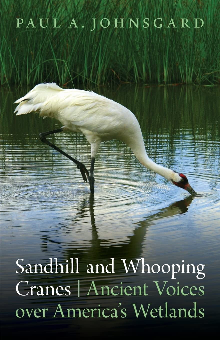 Sandhill and Whooping Cranes Ancient Voices Over Americas Wetlands Paperback