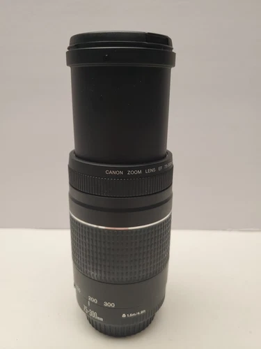 Canon EF Lens 75-300mm f/1.4-5.6 III