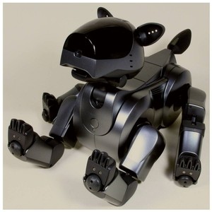 ソニー アイボ ERS-210 Sony Aibo Ers 210 | eBay