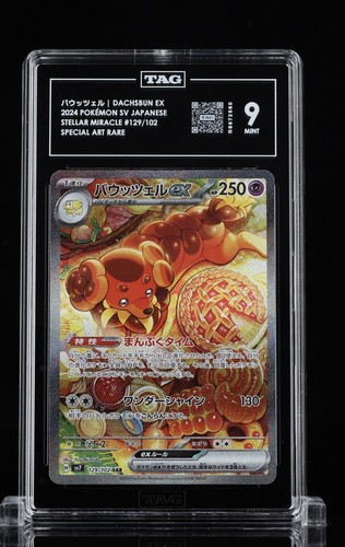 Dachsbun ex 129/102 Sv7: Stellar Miracle Holo (Japanese) Pokemon Tag 9 #15